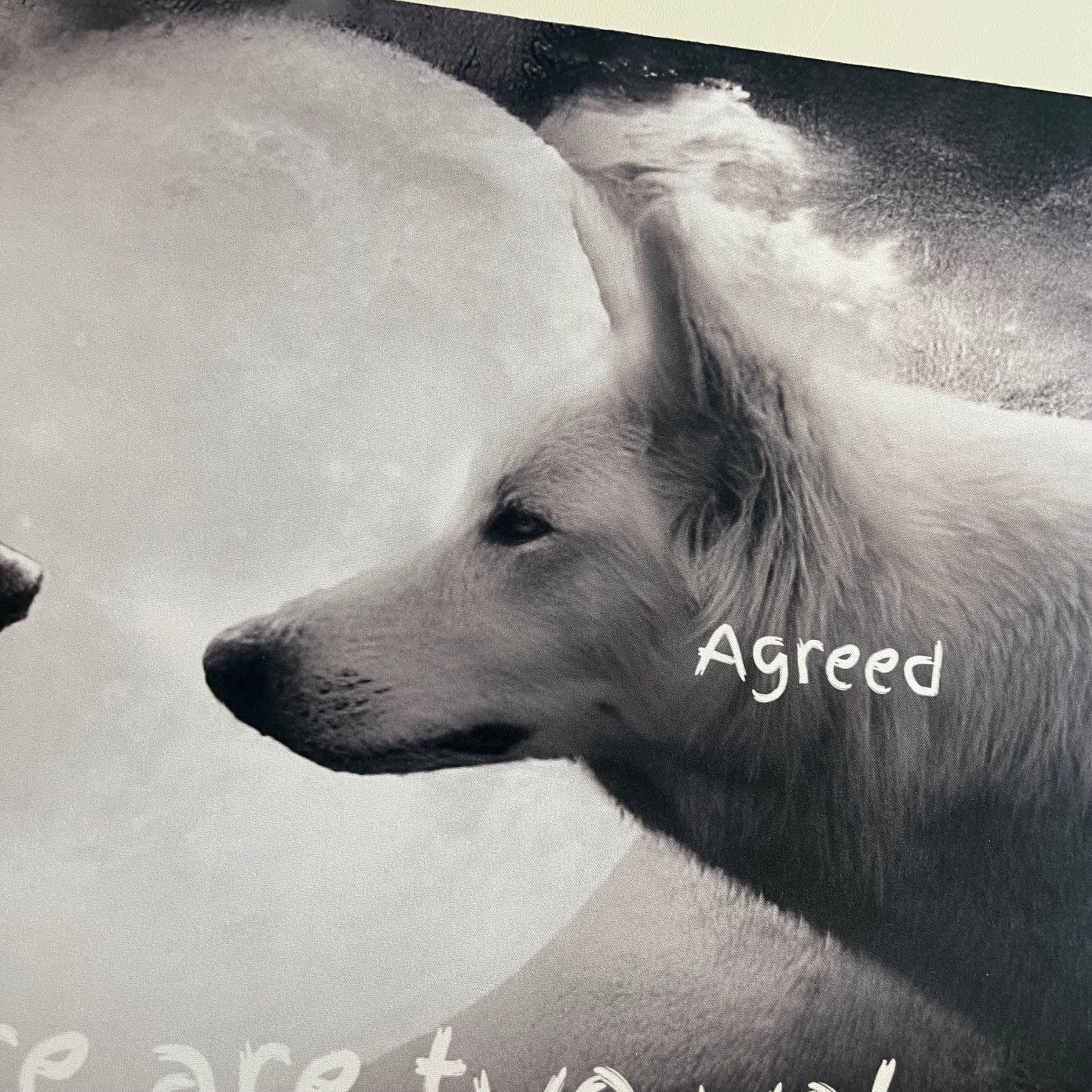 Two Wolves Playmat