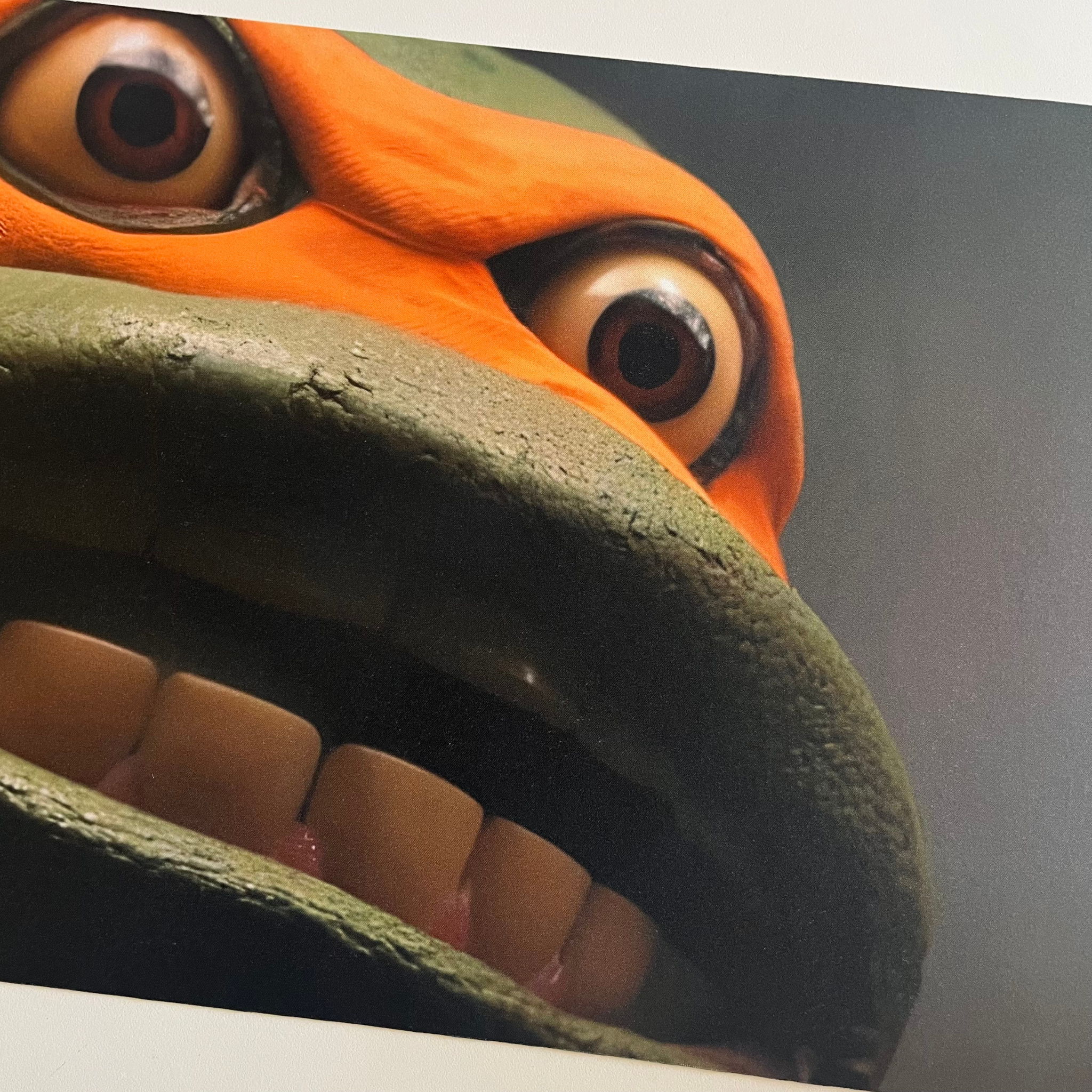 Turtle Time Playmat