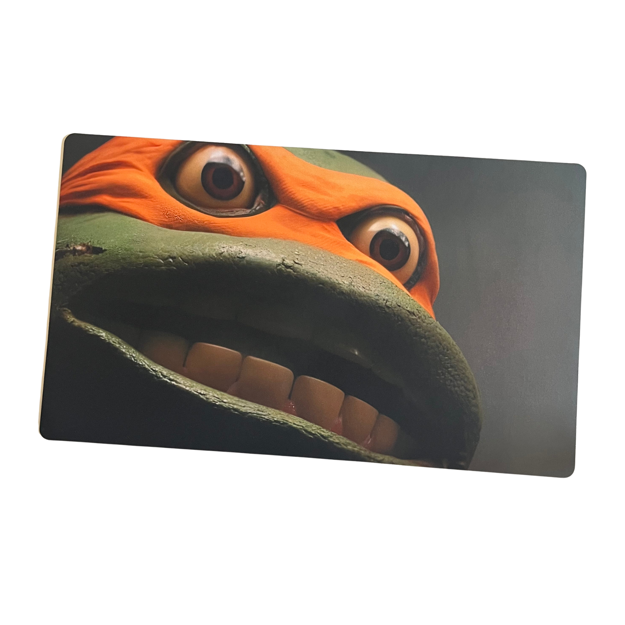 Turtle Time Playmat